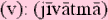 jivatmasm.gif