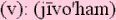 jivohamsm.gif