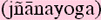 jnanayogasm.gif