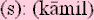kamilsm.gif