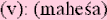 mahesasm.gif