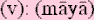 mayasm.gif