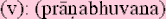 pranabhuvanasm.gif
