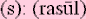 rasulsm.gif