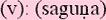 sagunasm.gif