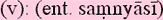 samnyasism.gif
