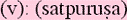 satpurusasm.gif