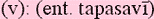 tapasavism.gif