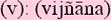 vijnanasm.gif